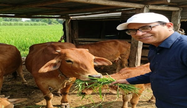gau seva daan bhaav foundation